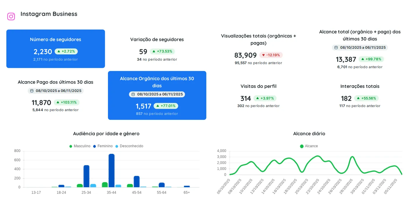 Dashboard Imunijuí — Instagram Business